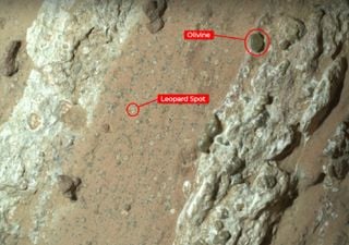 Nuevo hallazgo de la NASA en Marte: una intrigante roca llamada 'Cheyava Falls' muestra indicios de vida en el pasado 