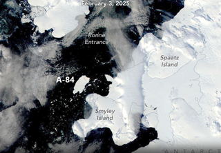 Un nuevo y gran iceberg antártico se aleja a toda velocidad del continente helado: ha sido bautizado como A-84