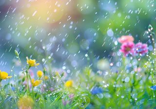 Nuevo pronóstico para el mes de agosto en México: ¿será más o menos lluvioso? La amenaza de ciclones aumentará