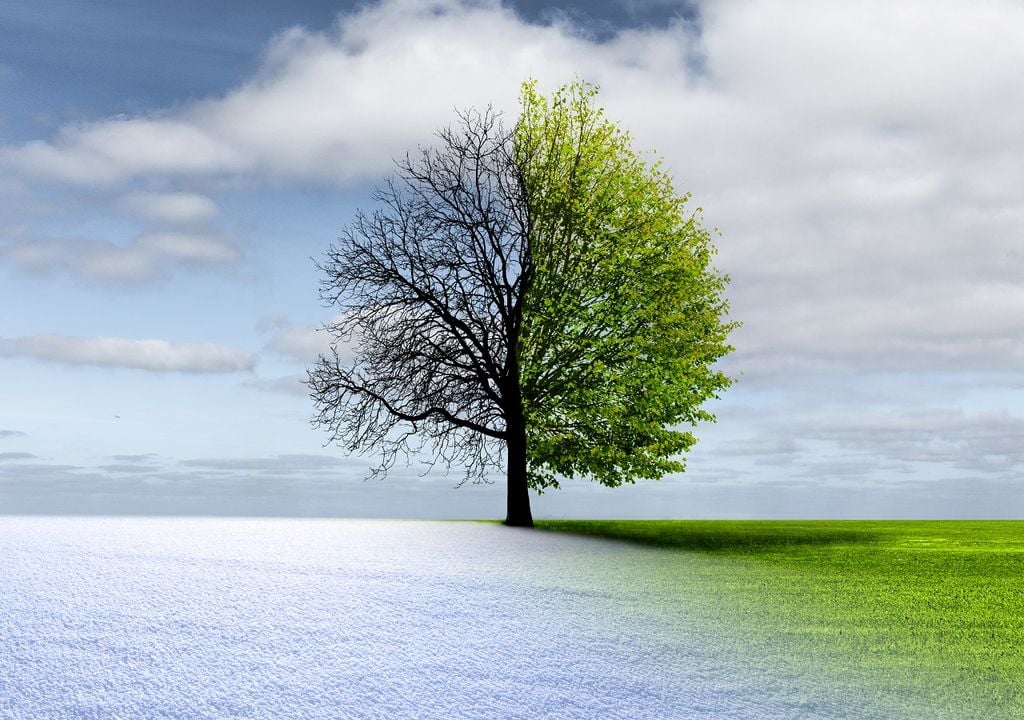 Febrero tendrá días de calor y otros de frío, contrastando conforme pase el mes, además de lluvias eventuales que ayuden a refrescar.