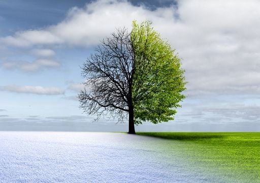 Nuevo pron&oacute;stico para febrero: lo que el modelo europeo dice que suceder&aacute; en M&eacute;xico bajo eventos extremos