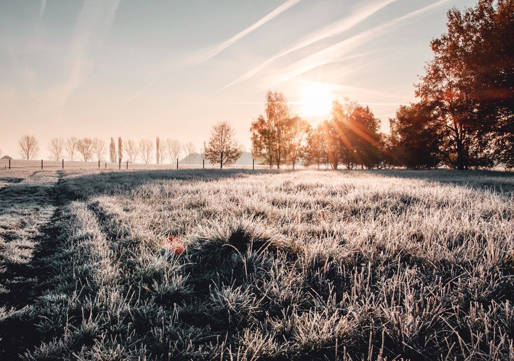 Frío heladas Argentina agro campo