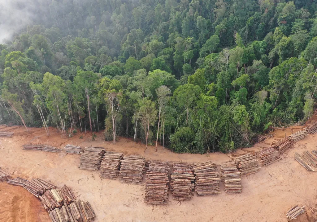 Selva Amazónica de Brasil y deforestación