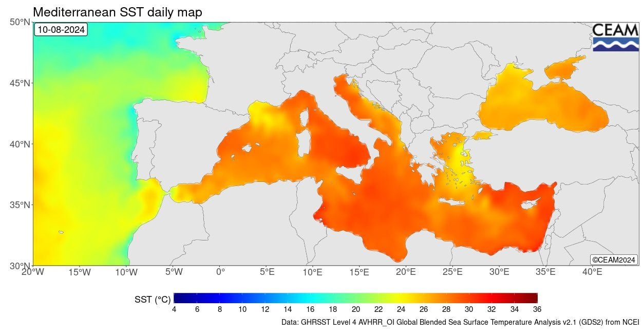 Mapa de la temperatura superficial del agua del mar para el 10 de agosto de 2024, según escala de colores. CEAM