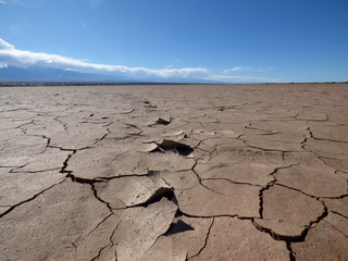 Los científicos señalan un nuevo tipo de sequías en el horizonte: las sequías repentinas ¿qué son y cómo impactan?