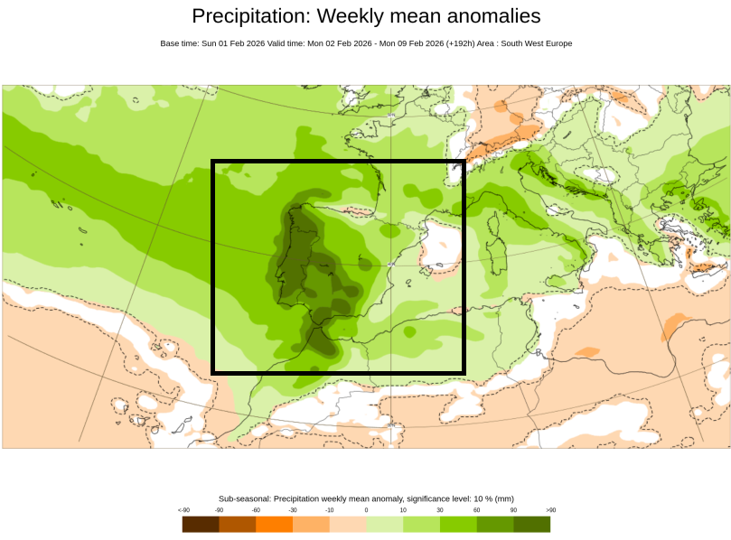 Anomalías semanales de precipitación para el periodo 2-8 de febrero de 2026: verdes para anomalías positivas de precipitación y naranjas para negativas. Fuente: ENS ECMWF