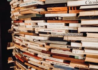 Nuit de la lecture 2026 : quel lien entre le thème de cette année et l'écologie ?