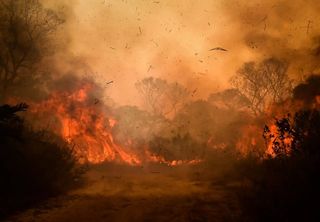 Número de incêndios explode no Pantanal: clima irregular ainda será desafio nas próximas semanas e até meses