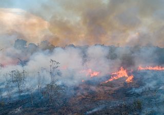 Número de queimadas explode na Amazônia e fumaça se espalha pelo Brasil