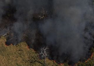 Número de queimadas no Brasil dispararam em agosto!