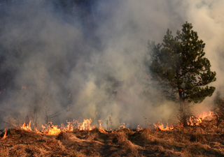 Número de incendios en Brasil es el mayor en 14 años: el patrón climático de septiembre tiende a empeorar el escenario