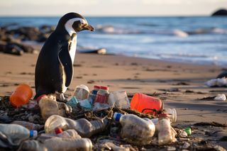 Nurdles: Die Belastungen für die Umwelt durch die kleinen Plastikkügelchen sind enorm! Schäden so groß wie bei Öl! 