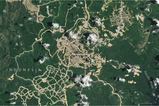 Nusantara la nueva capital de Indonesia: una nueva ciudad “verde y transitable” que se desarrolla en pleno bosque 
