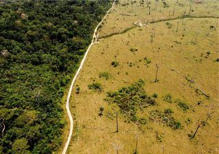 Liberación de carbono del suelo por calentamiento global