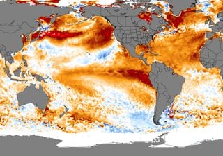 O atual evento de El Niño não chegará à categoria de Super El Niño