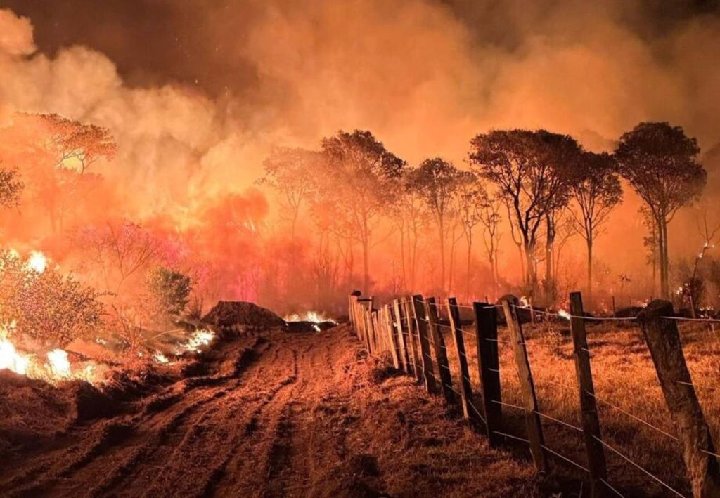 Corumbá (MS) foi a cidade mais devastada pelos incêndios em 2024, de acordo com o MapBiomas. Créditos: Reprodução/Correio do Estado. Corumbá (MS) foi a cidade mais devastada pelos incêndios em 2024, de acordo com o MapBiomas. Créditos: Reprodução/Correio do Estado.