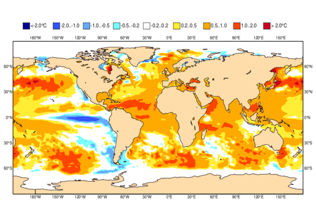 Mapa de previsão de anomalia da temperatura da superfície dos oceanos para o próximo trimestre.