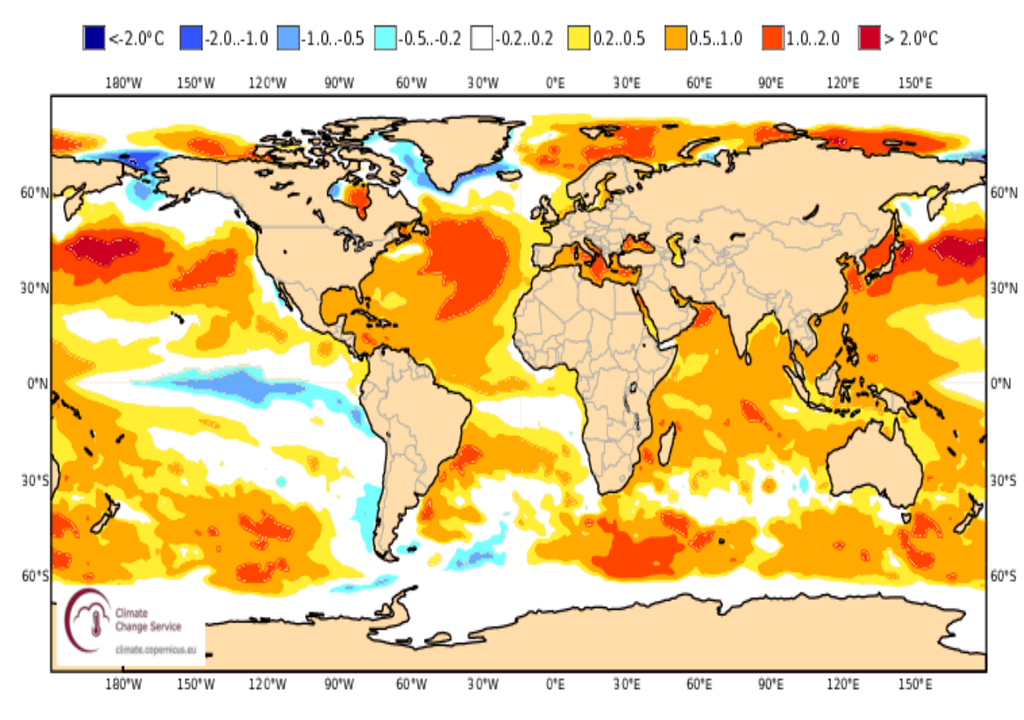 previsão, temperatura da superfície do mar, setembro