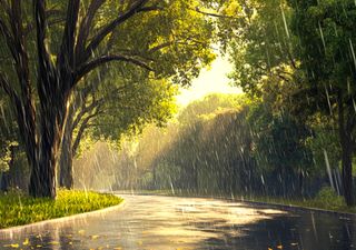 Como será o clima no verão de 2025