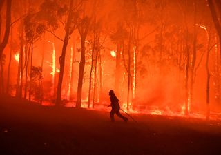 Falta infraestrutura para lidar com tantos incêndios no mundo