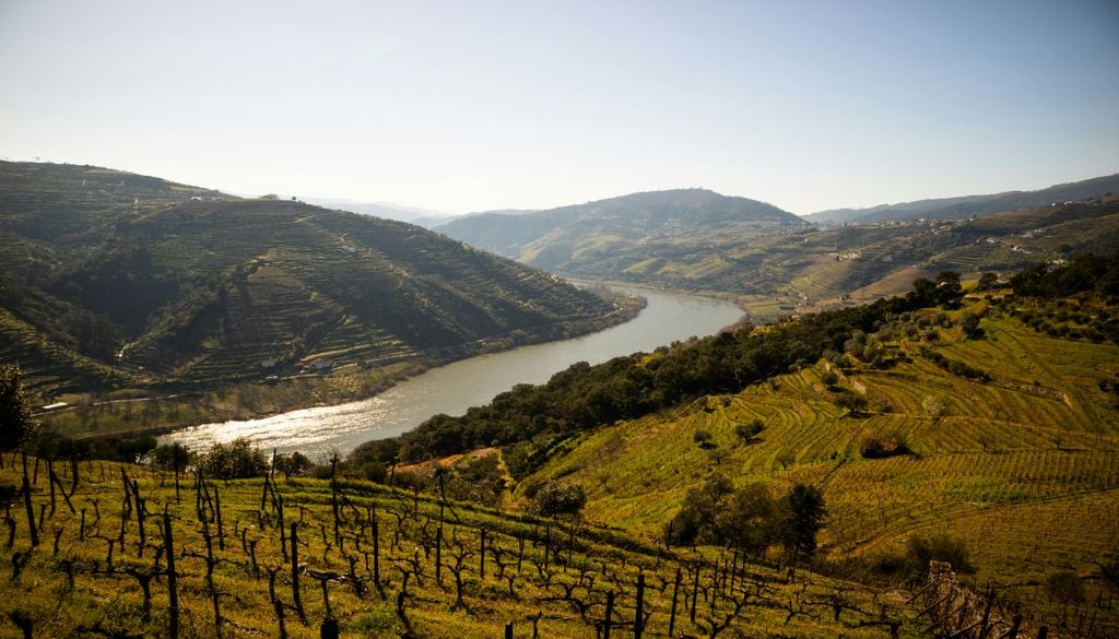 Douro Já pode voltar a viajar no comboio histórico que atravessa o coração do Douro. Foto ilustrativa: Unsplash