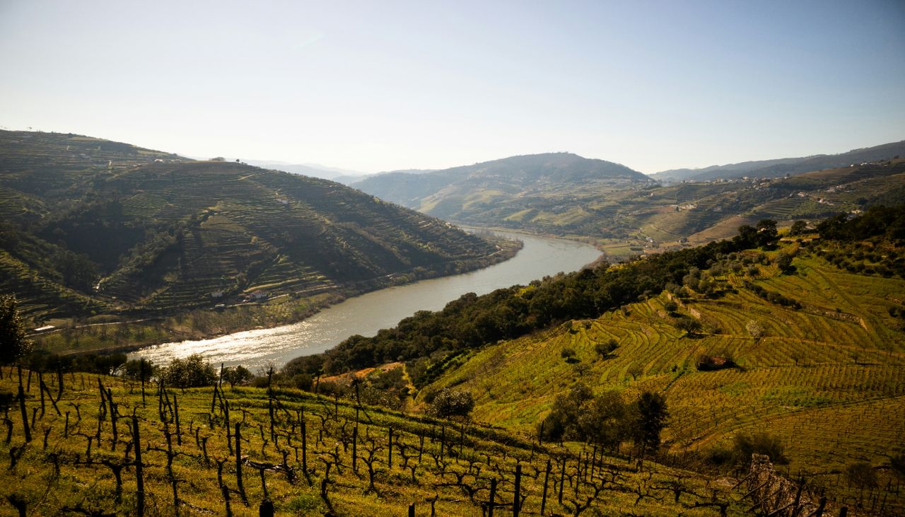 The “most beautiful train in Portugal” already has a date to return to the Douro tracks