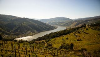 O &ldquo;comboio mais bonito de Portugal&rdquo; j&aacute; tem data para voltar aos carris do Douro