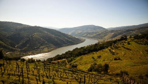 O &ldquo;comboio mais bonito de Portugal&rdquo; j&aacute; tem data para voltar aos carris do Douro