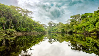 O deserto que alimenta a selva: Como o Saara mant&eacute;m a Amaz&oacute;nia viva