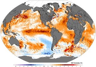 El Niño ist bereits zu Ende und die Prognosen für 2024 deuten auf eine mögliche La Niña hin!