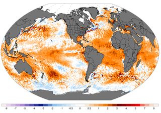 El Niño si sta indebolendo, ma secondo l’OMM ne sentiremo ancora gli effetti nei prossimi mesi