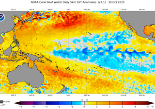 O fenômeno La Niña vai mesmo influenciar o clima no Brasil em novembro?