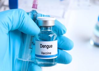 El futuro de la lucha contra el dengue: la vacuna del Instituto Butantan promete cambios a partir de 2026
