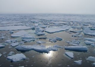 O gelo do mar Ártico atinge o nível mais baixo anual