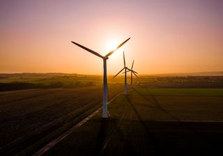 El gran problema de las turbinas gigantes que amenaza el futuro de la energía eólica