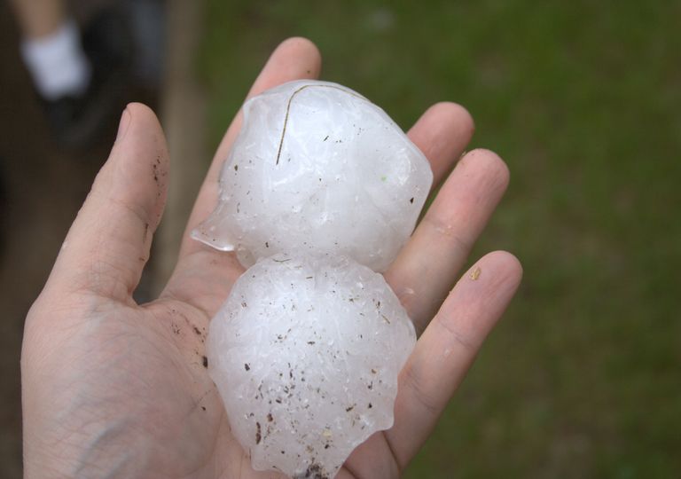 O granizo mais pesado da história caiu no Bangladesh em 1986 O granizo mais pesado da história caiu no Bangladesh em 1986