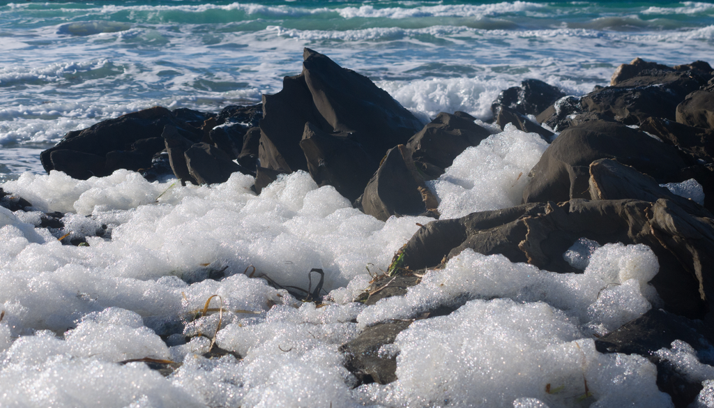 As toxinas espalham-se pelo ar, causando problemas respiratórios e irritações oculares a banhistas, mesmo sem estes entrarem na água.