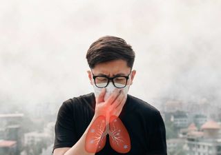 O fumo dos incêndios afeta gravemente a qualidade do ar e é uma ameaça à saúde respiratória: conheça os seus impactos