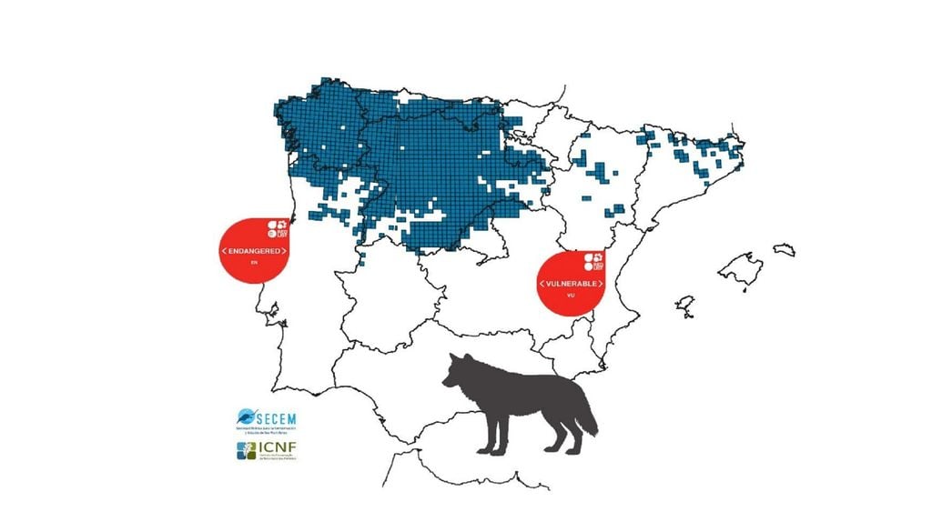 A maior parte da população do lobo ibérico está concentrada no norte do rio Douro, em Portugal, e no noroeste de Espanha. Imagem: SECEM