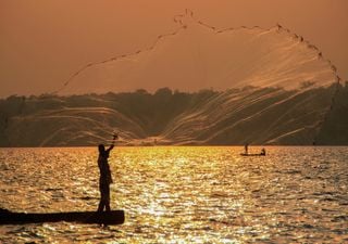 O maior lago de África está a sofrer devido à presença de bactérias mortais