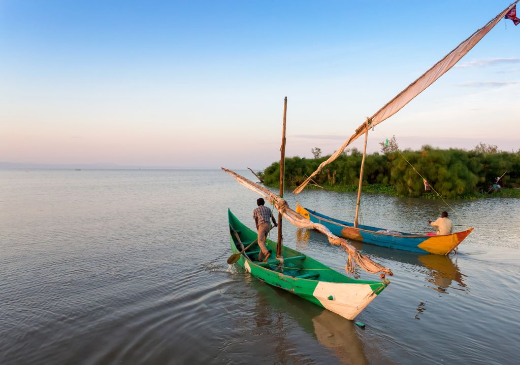 Pesca Pesca