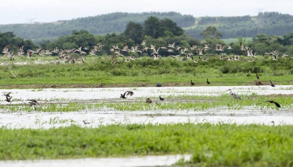 A região do Tanquã foi transformada em uma Área de Proteção Ambiental (APA) em 2018. Crédito: Susana e Wagner Coppede.