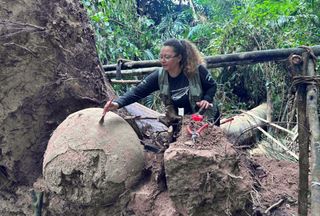 Quel est le mystère archéologique découvert en Amazonie ?