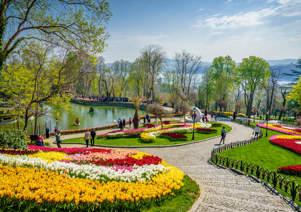 Turquia: As tulipas não são holandesas; foram levadas da Turquia para a Europa no século XVI pelos embaixadores do Império Otomano.