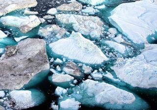 O mundo está a aproximar-se do colapso climático, mas a ciência oferece um vislumbre de esperança