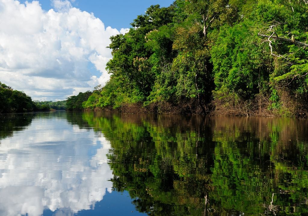 amazónia; Brasil amazónia; Brasil