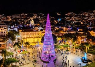 O Natal começa aqui: Madeira revela quando se acendem as luzes (e até há um concerto gratuito)