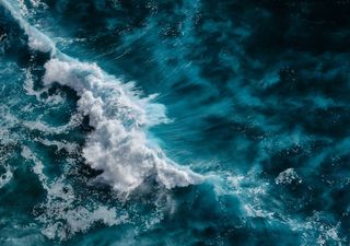 O oceano parece estar a ficar mais escuro, segundo um novo estudo
