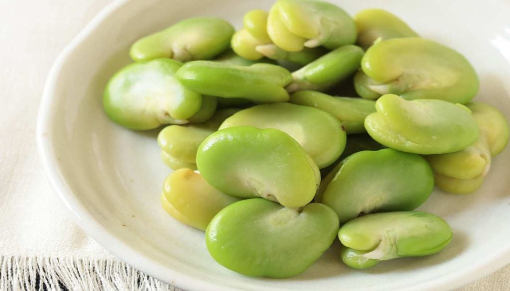 Frescas ou secas, as favas fazem parte da tradição gastronómica portuguesa e continuam a levar aos pratos o sabor de uma cultura ancestral.