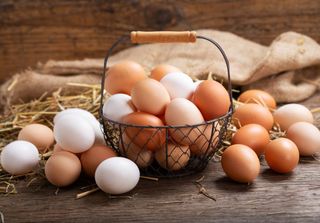 O ovo subiu de preço: descubra 10 substitutos que mantêm a proteína e reduzem o gasto